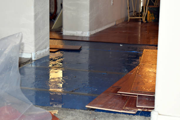 Professional Basement Flood Cleanup technician working in Minot, ND
